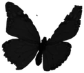 butterfly emote