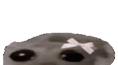 cheeri emote