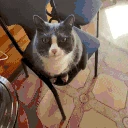 dih emote
