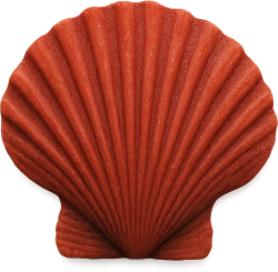 Redseashell emote