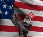 MURICA emote