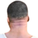gtabackofhead emote