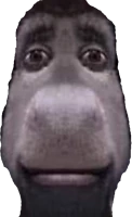 DonkeyStare emote