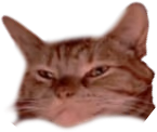sailorAware emote