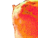 catJAMJAMJAM emote