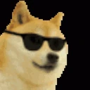 shakingDOGE emote