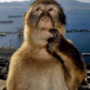 think emote