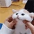 W_Cat_cute emote