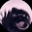 RacRave emote