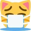 crying_mask_cat emote