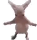 BingusDance emote
