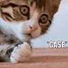 Gaspp emoji