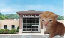 rehabbert emote