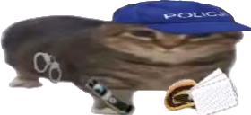 donosik emote