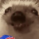 veryBesta animated emote