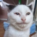 vuh emote