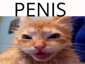 penis emote