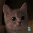 Jiggle emote