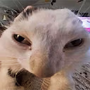 ruh emote