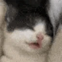 sleeptalk emoji