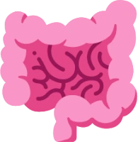 Guts emote