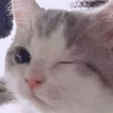 CE_Wink2 emote