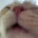 atchu emote