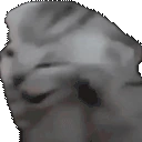 THEVOICES emote