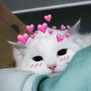 Uwuwcat emote