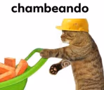 chambeando emote