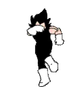 intslVegetaDancing emote