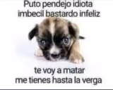 putopendejoidiotaimbecilbastardoinfeliztevoyamatarmetieneshastal emote