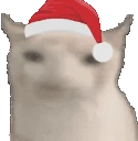 catEat emote