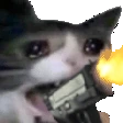 CatGun emote