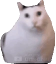 huh emote