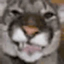 rrg emoji
