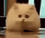 omgYouDied emote