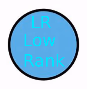 LR_TEAM emote