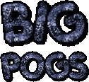 big_pogs emote