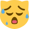 stop emote