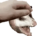 PETTHEPOSSUM emote
