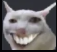 catheh static emote