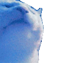 HYPOCATJAM emote