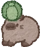 Maru emote