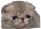 tu emote