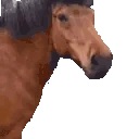 horseJAM emote