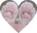 kitty_paws emote
