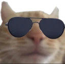 shades emote