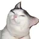 CE_Slumped emote