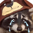 raccoon_cry emote